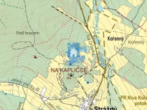 Prodej louky, Strážný - Řasnice, 50000 m2