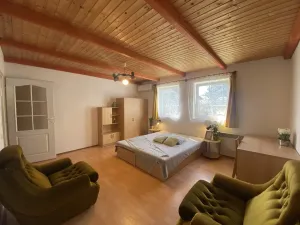 Pronájem bytu 1+1, Slapy, 30 m2