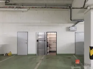 Prodej garážového stání, Praha - Hloubětín, Modrého, 12 m2