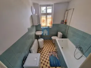 Pronájem atypického bytu, Plzeň, Jarní, 20 m2