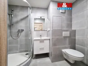 Pronájem bytu 2+1, Karlovy Vary - Stará Role, Fibichova, 54 m2
