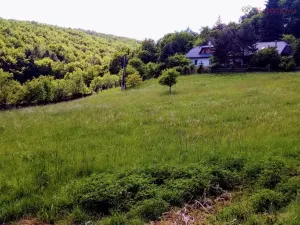 Prodej pozemku pro bydlení, Buchlovice, Hradišťská, 4147 m2