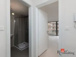 Pronájem bytu 1+kk, Plzeň - Východní Předměstí, Kartónová, 27 m2