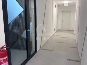 Pronájem bytu 3+kk, Hradec Králové - Svobodné Dvory, Pálenecká, 113 m2