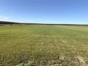 Prodej rodinného domu, Nechanice - Staré Nechanice, 125 m2