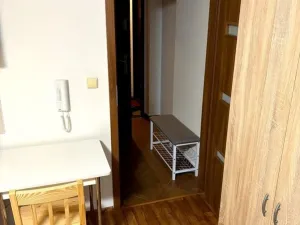 Pronájem bytu 1+kk, Olomouc, Balcárkova, 30 m2