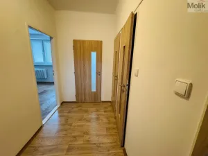 Pronájem bytu 1+1, Most, Vítězslava Nezvala, 36 m2