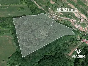 Prodej podílu lesa, Košíky, 8165 m2