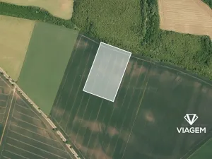 Prodej podílu pole, Mělnické Vtelno, 7250 m2