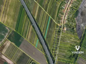 Prodej pole, Kostice, 1963 m2