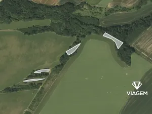 Prodej podílu lesa, Suchdol nad Odrou, 1258 m2