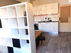 Pronájem bytu 1+kk, Příbram - Příbram VII, Pod Čertovým pahorkem, 27 m2