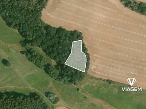 Prodej podílu lesa, Líšťany, 2059 m2