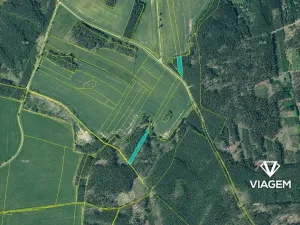 Prodej podílu lesa, Líšťany, 2059 m2