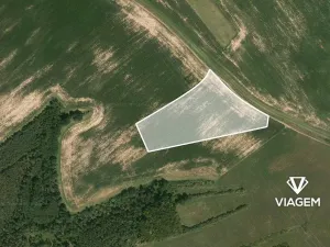 Prodej podílu pole, Štětí, 7088 m2