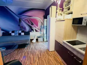 Pronájem bytu 1+kk, Plzeň, Koterovská, 35 m2