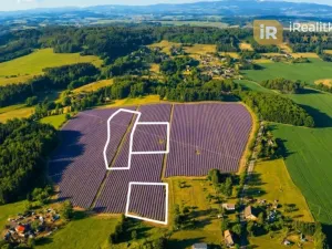 Prodej pole, Nová Paka, 29218 m2