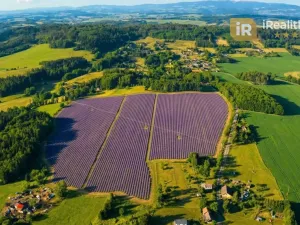 Prodej pole, Nová Paka, 29218 m2