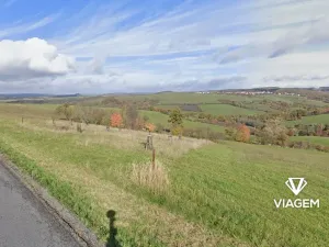 Prodej zahrady, Částkov, 2385 m2