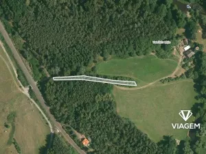 Prodej lesa, Svojšín, 3555 m2