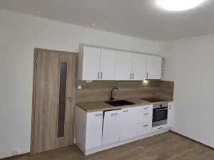 Pronájem bytu 2+kk, Ústí nad Labem, Na Kohoutě, 42 m2