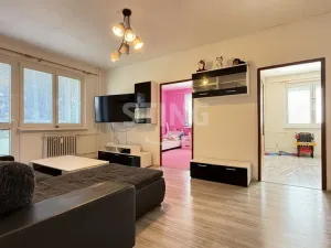 Prodej bytu 3+1, Bruntál, Pionýrská, 65 m2