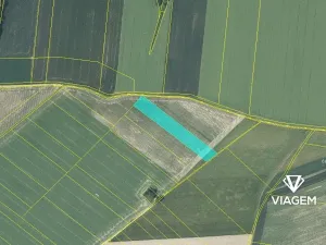Prodej podílu pole, Dolní Životice, 1083 m2