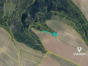 Prodej podílu lesa, Kokořín, 1843 m2