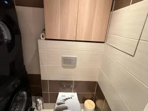 Prodej bytu 3+1, Most, Františka Malíka, 70 m2