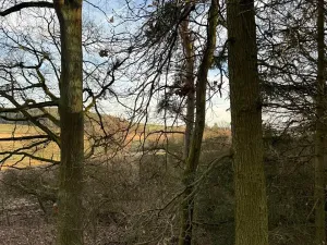 Prodej lesa, Klatovy, 8497 m2