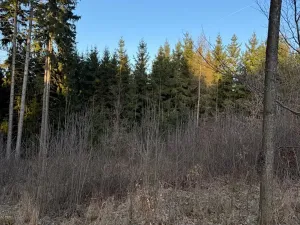 Prodej podílu lesa, Stará Paka, 4610 m2