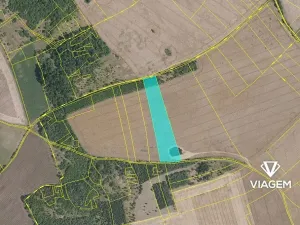 Prodej podílu pole, Veliká Ves, 6040 m2