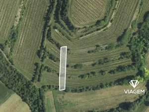 Prodej podílu pole, Uherčice, 233 m2