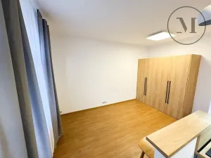 Pronájem bytu 1+kk, České Budějovice, Družstevní, 30 m2