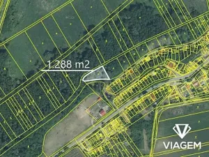 Prodej podílu lesa, Brod nad Dyjí, 644 m2