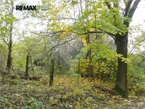 Prodej pozemku pro bydlení, Mariánské Lázně, Dobrovského, 1311 m2