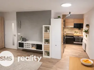 Pronájem bytu 1+kk, Brno - Židenice, Bělohorská, 40 m2