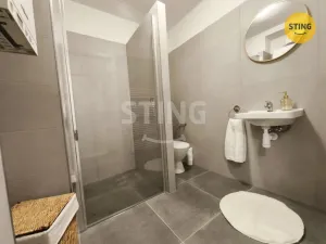 Prodej bytu 1+1, Jihlava, Wolkerova, 29 m2