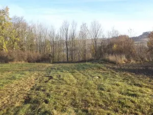 Prodej pozemku, Budišov nad Budišovkou, 60778 m2