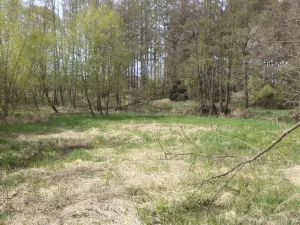 Prodej pole, Mezno - Stupčice, 8388 m2