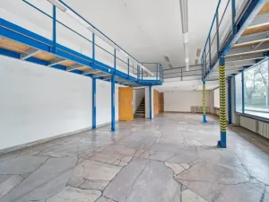Prodej obchodního prostoru, Brno - Zábrdovice, Koliště, 177 m2