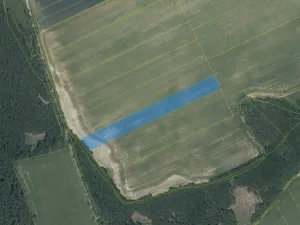 Prodej pole, Šebestěnice, 38069 m2