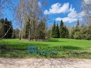 Prodej pozemku, Černý Důl - Čistá v Krkonoších, 2788 m2