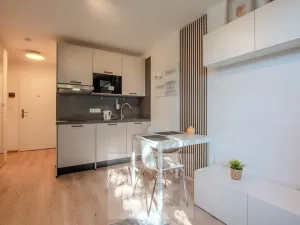 Pronájem bytu 1+kk, Praha - Vršovice, Kubánské náměstí, 19 m2