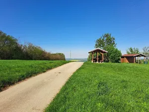 Prodej sadu/vinice, Nikolčice, 2568 m2