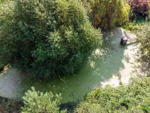 Prodej pozemku pro bydlení, Spálené Poříčí, 4447 m2