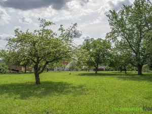 Prodej pozemku pro bydlení, Břasy, 1462 m2