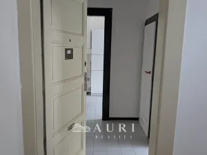 Prodej bytu 2+1, Praha - Žižkov, Jičínská, 66 m2