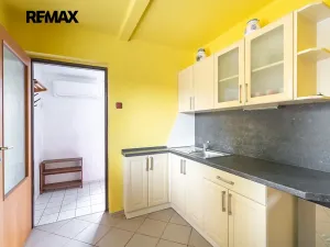 Prodej chaty, Plzeň, U Domažlické trati, 29 m2