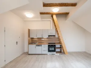 Pronájem bytu 1+kk, Liberec - Liberec III-Jeřáb, Americká, 44 m2